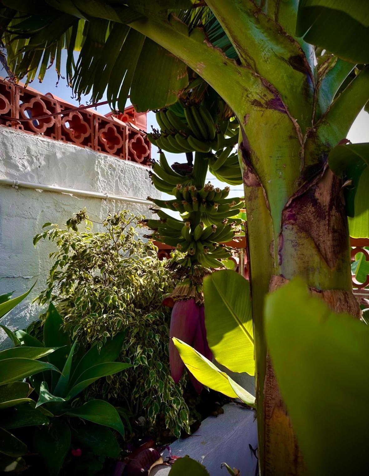 Casa Cucu Villa ตาซากอร์เต ภายนอก รูปภาพ
